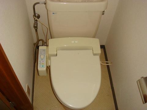 Toilet. Toilet with shower