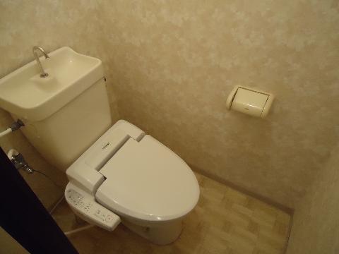 Toilet. Toilet with shower