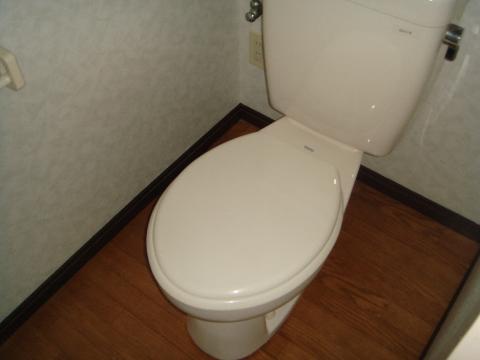 Toilet. WC