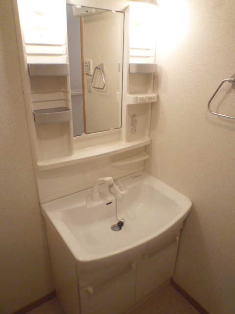 Washroom. Shampoo dresser