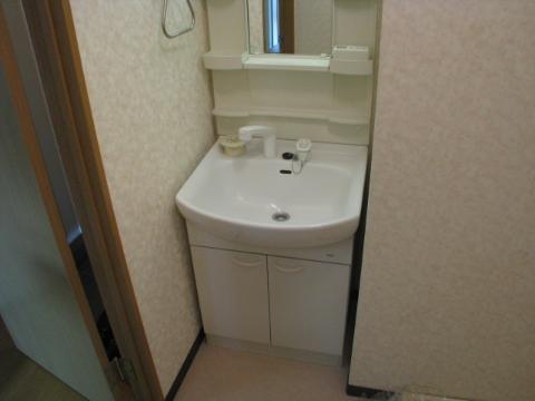 Washroom. Bathroom Vanity