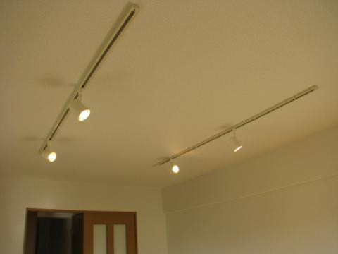 Other room space. Western-style downlight