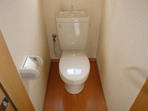 Toilet. WC