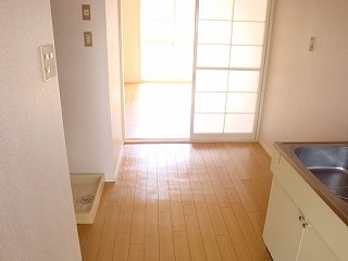 Other room space. Washing machine in the room