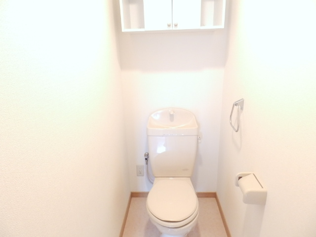 Toilet. Toilet with storage shelf