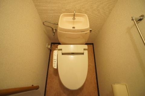 Toilet. Toilet with shower