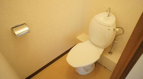 Toilet. WC