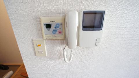 Security. Intercom with a camera