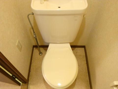 Toilet. WC