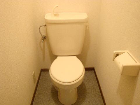 Toilet. WC