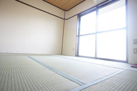 Living and room. Japanese style room