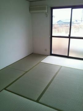 Living and room. Japanese style room