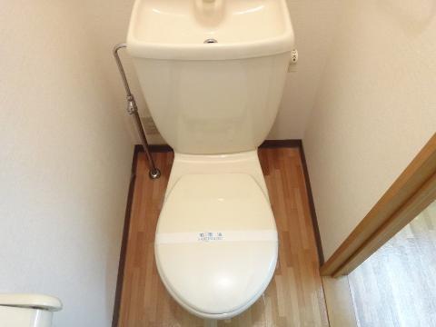 Toilet. WC