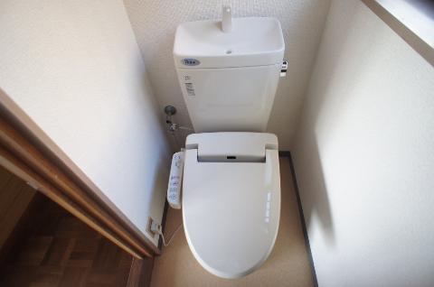 Toilet. Toilet with shower