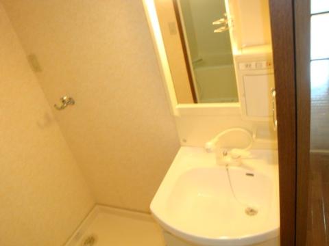 Washroom. Bathroom Vanity