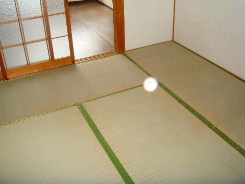 Living and room. Japanese style room