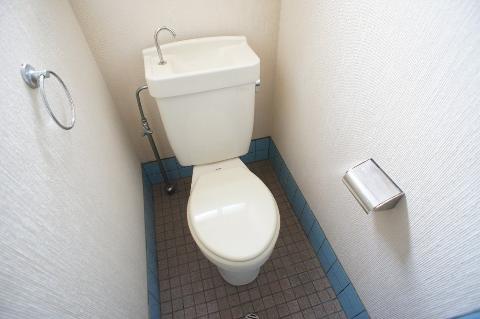 Toilet. WC