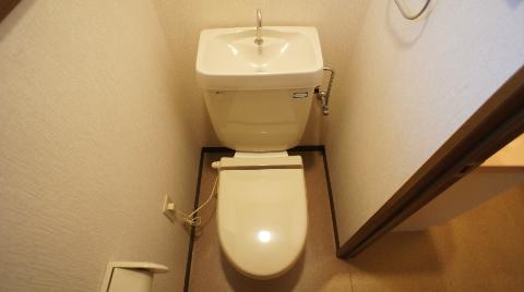 Toilet. Toilet with shower