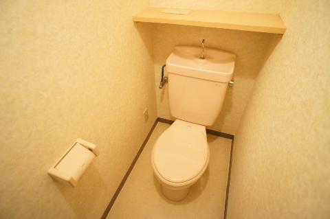 Toilet. WC