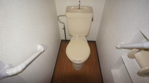 Toilet. WC