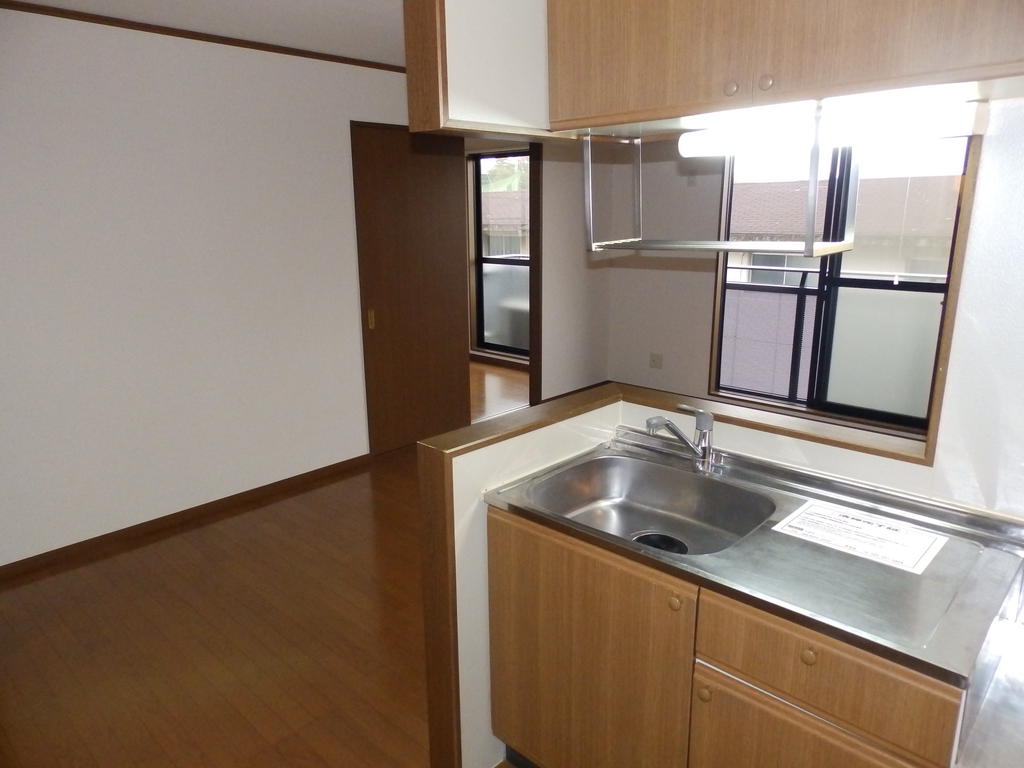 Kitchen. Also overlooks the living at the counter kitchen