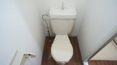 Toilet. WC