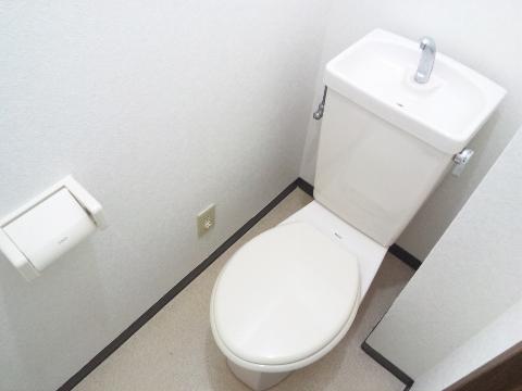 Toilet. WC