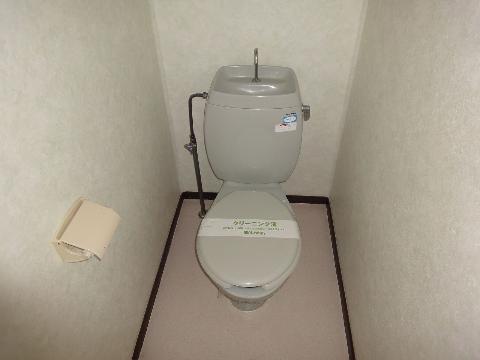 Toilet. Toilet