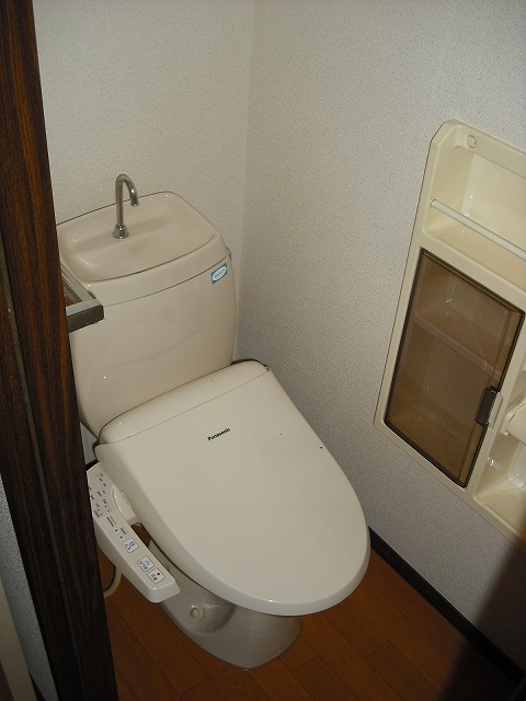 Toilet. With cleaning toilet seat.