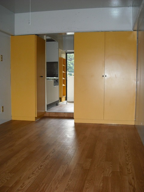 Living and room. Closet with a large capacity for one person living! Clean storage.