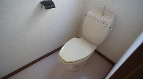 Toilet. WC