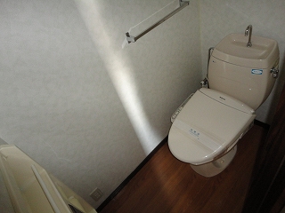 Toilet. Toilet with shower