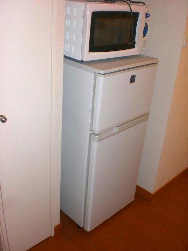 Other. refrigerator, Also it comes with a washing machine