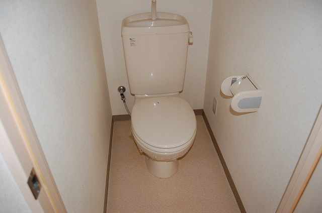 Toilet. Same apartment Separate reference photograph