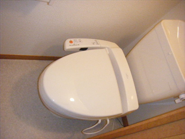 Toilet. Warm water washing toilet seat (shower toilet)