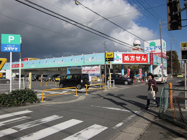 Dorakkusutoa. Drag Sugiyama Kubota shop 326m until (drugstore)