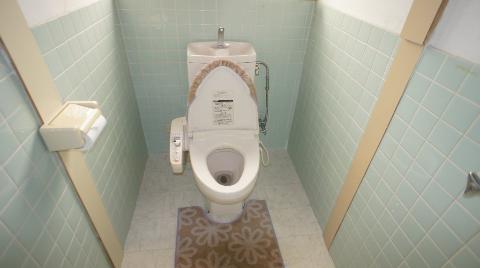 Toilet. Toilet with shower