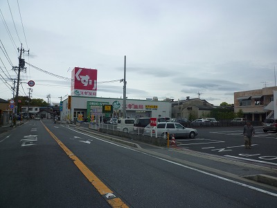 Dorakkusutoa. Cedar pharmacy Akuragawa store (drugstore) to 400m