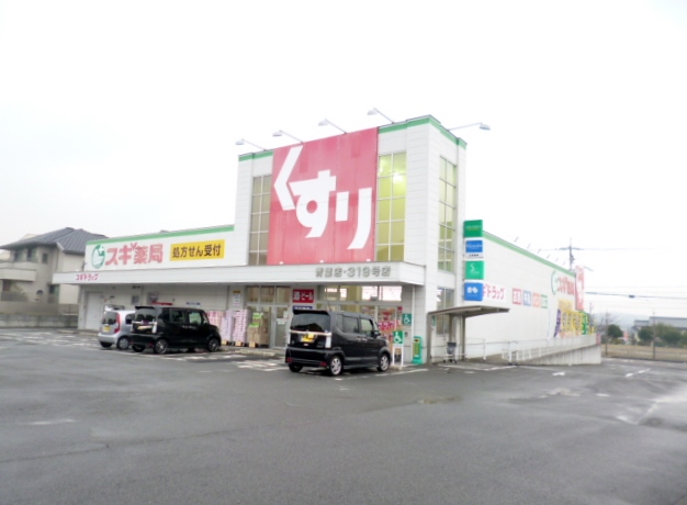 Dorakkusutoa. Cedar pharmacy Aoba shop 1194m until (drugstore)