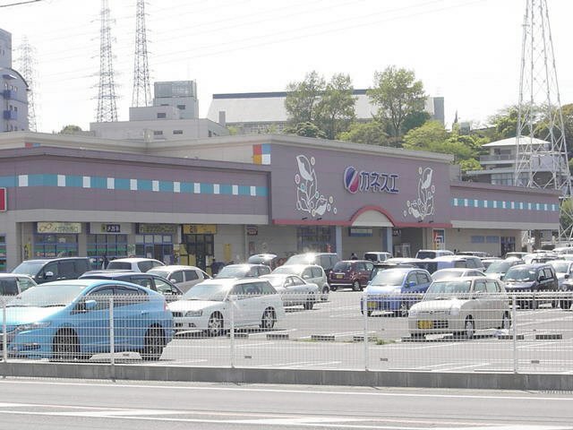 Supermarket. Kanesue Hinaga store up to (super) 638m