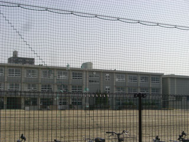 Primary school. Municipal Tokiwa 250m up to elementary school (elementary school)