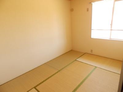 Other room space. Japanese style room