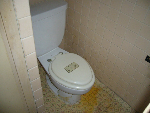 Toilet