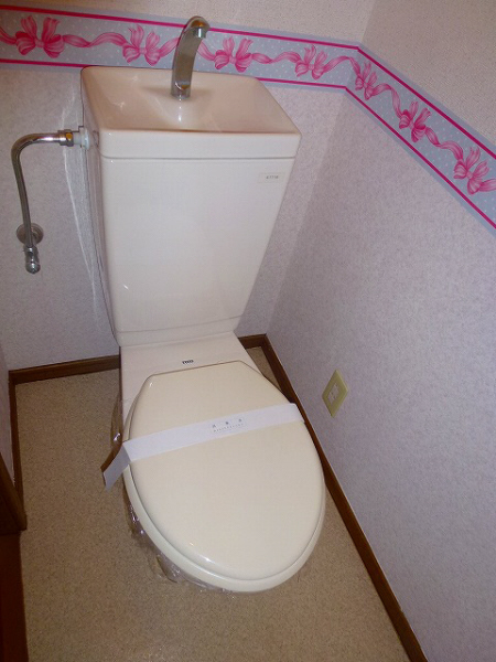 Toilet