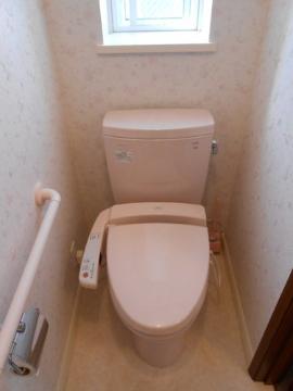 Toilet. Toilet with shower