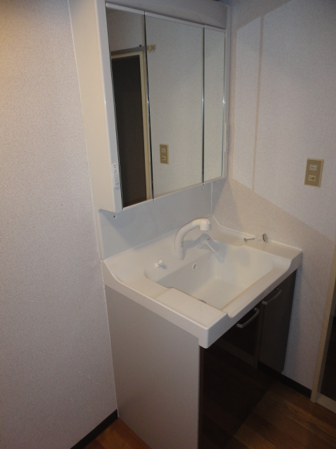 Washroom. Here also new shampoo dresser