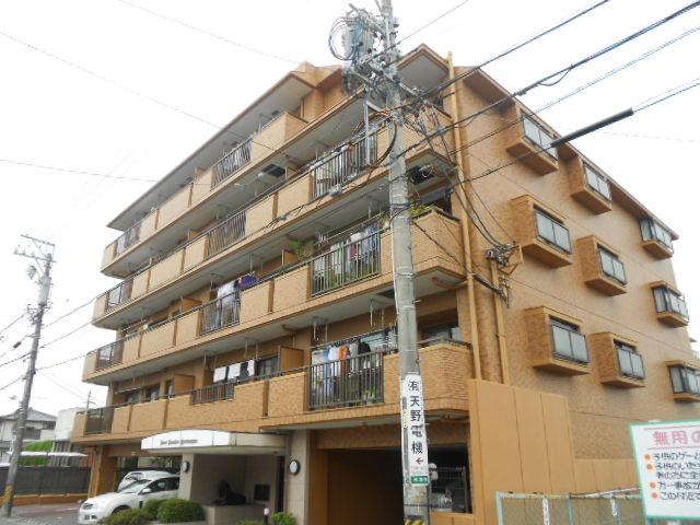 Local appearance photo. Local (August 2013) Shooting