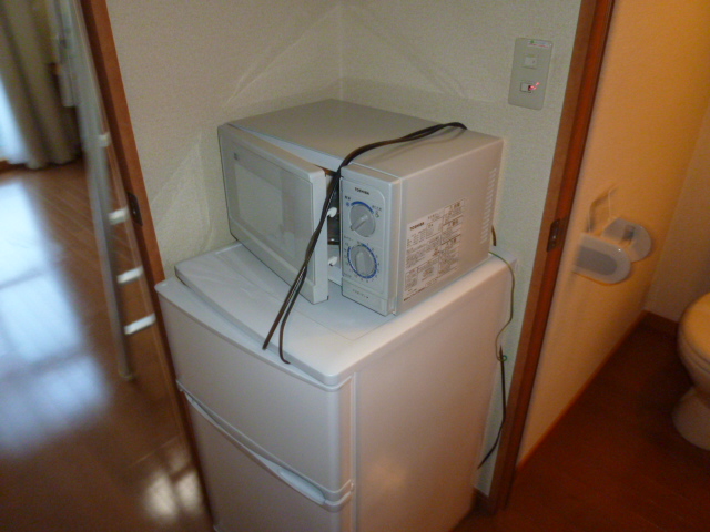 Other room space. refrigerator microwave Equipped
