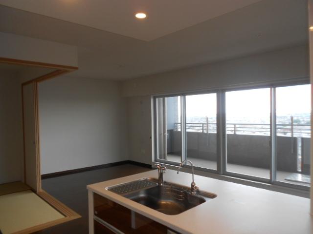 Living. LD, which was taken from the kitchen (July 2013) Shooting