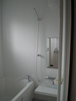 Bathroom. Indoor (September 2012) shooting